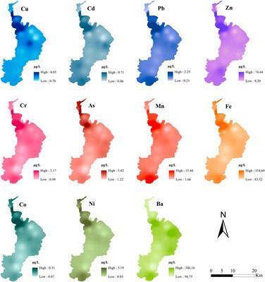 Heavy Metal Distribution and Bioaccumulation Combined With Ecological and Human Health Risk Evaluation in a Typical Urban Plateau Lake, Southwest China